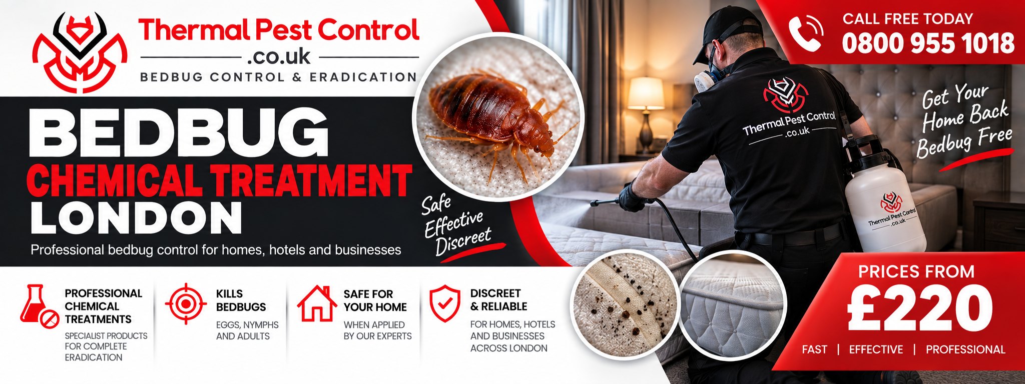 Bedbug Chemical Treatment London &mdash; Thermal Pest Control, bedbug control and eradication across London